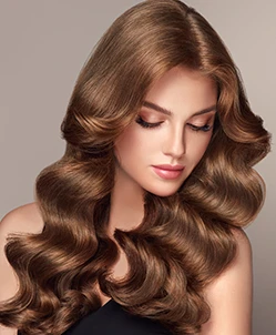 Rectangle-673 about1